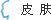 皮肤