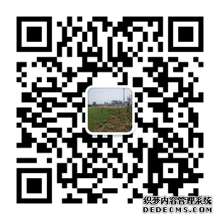 52f02c2b1cc75132468d9a6bbc35389.png